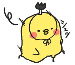 PIYOMARU chicks 2 sticker #5931793
