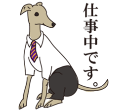 Italian greyhound express sticker #5936715