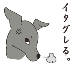 Italian greyhound express sticker #5936716