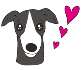 Italian greyhound express sticker #5936718