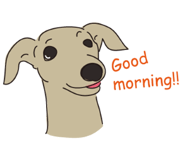 Italian greyhound express sticker #5936720