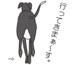 Italian greyhound express sticker #5936721