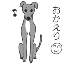 Italian greyhound express sticker #5936723