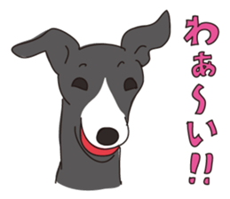 Italian greyhound express sticker #5936724