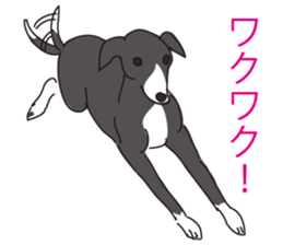 Italian greyhound express sticker #5936725