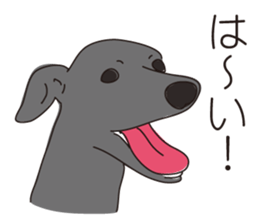 Italian greyhound express sticker #5936726