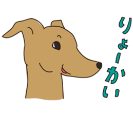 Italian greyhound express sticker #5936727