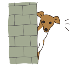 Italian greyhound express sticker #5936728