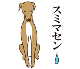 Italian greyhound express sticker #5936731