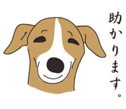 Italian greyhound express sticker #5936737