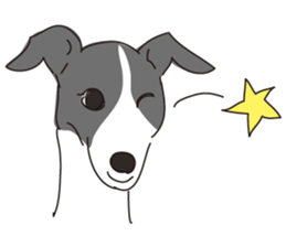 Italian greyhound express sticker #5936738