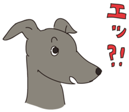 Italian greyhound express sticker #5936740