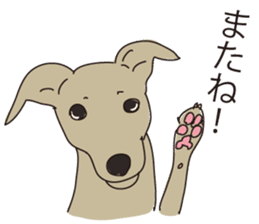 Italian greyhound express sticker #5936742