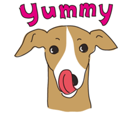 Italian greyhound express sticker #5936744