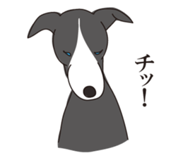 Italian greyhound express sticker #5936749