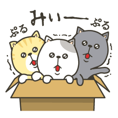 Sticker of the cat to ask for