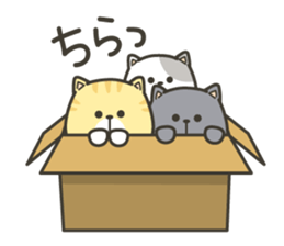 Sticker of the cat to ask for sticker #5937144