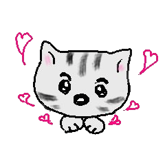 Nekomaru daily conversation