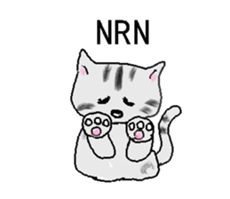 Nekomaru daily conversation sticker #5938209