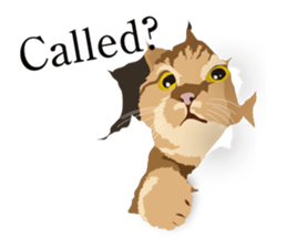 animal house ver.english sticker #5939630