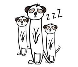 Half of Meerkat and a cat sticker #5940113