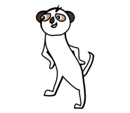 Half of Meerkat and a cat sticker #5940125