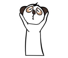 Half of Meerkat and a cat sticker #5940131