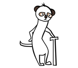 Half of Meerkat and a cat sticker #5940132
