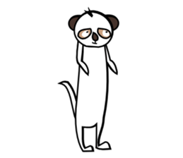 Half of Meerkat and a cat sticker #5940144