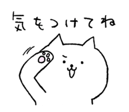 [Daily cat] sticker #5940166