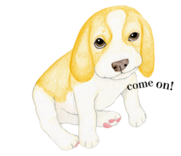 Halloween Beagle Sticker (English) sticker #5941412