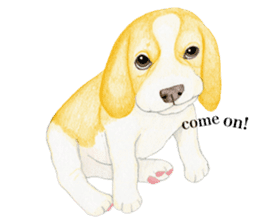 Halloween Beagle Sticker (English) sticker #5941412