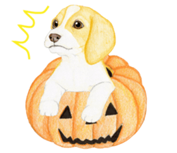 Halloween Beagle Sticker (English) sticker #5941424