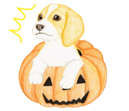 Halloween Beagle Sticker (English) sticker #5941424