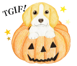 Halloween Beagle Sticker (English) sticker #5941429