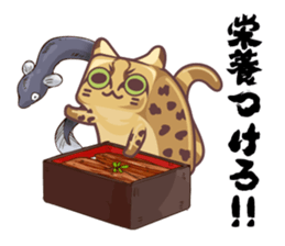 Kittens "We're sooo hungry!" sticker #5947586