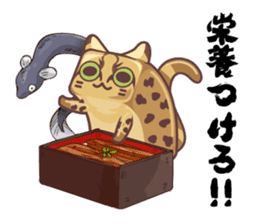 Kittens "We're sooo hungry!" sticker #5947586