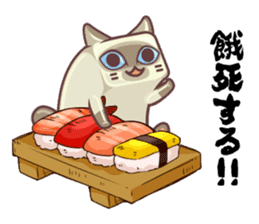 Kittens "We're sooo hungry!" sticker #5947591