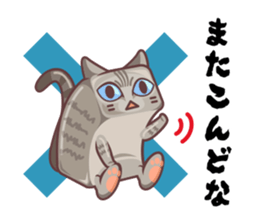 Kittens "We're sooo hungry!" sticker #5947608