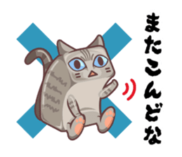 Kittens "We're sooo hungry!" sticker #5947608