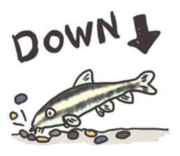 Tropical fishes of my home aquarium sticker #5947750