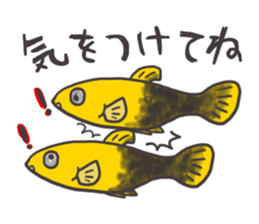 Tropical fishes of my home aquarium sticker #5947757