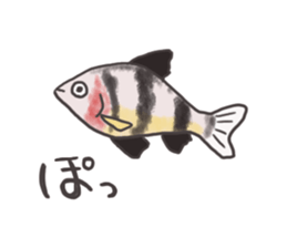 Tropical fishes of my home aquarium sticker #5947761