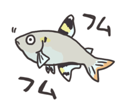 Tropical fishes of my home aquarium sticker #5947765