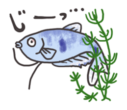 Tropical fishes of my home aquarium sticker #5947767