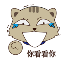 QQ and wind sticker #5947944
