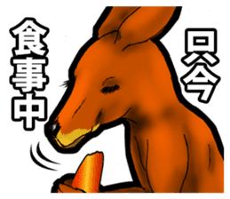 Kangaroo teacher sticker #5950285