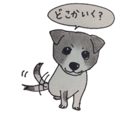 animals animals animals sticker #5953178