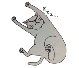 animals animals animals sticker #5953179