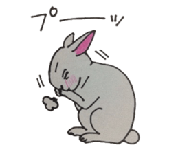 animals animals animals sticker #5953203